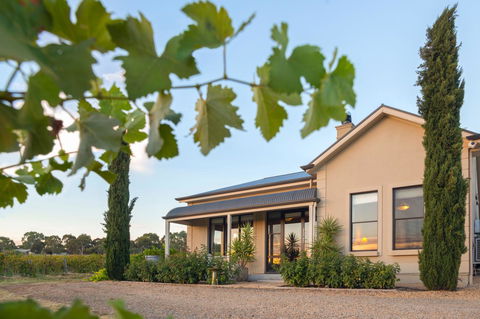 Barossa Shiraz Estate - Accommodation ACT 2
