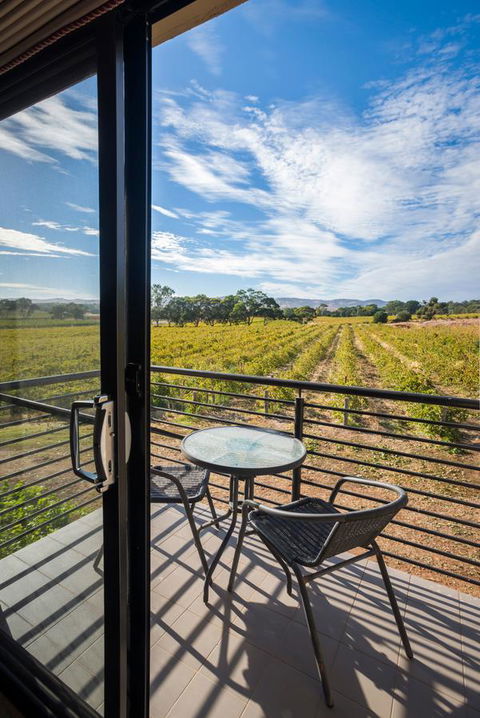 Barossa Shiraz Estate - Accommodation ACT 33