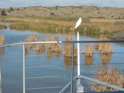 PS Federal Retreat Paddle Steamer Goolwa - Accommodation ACT 11