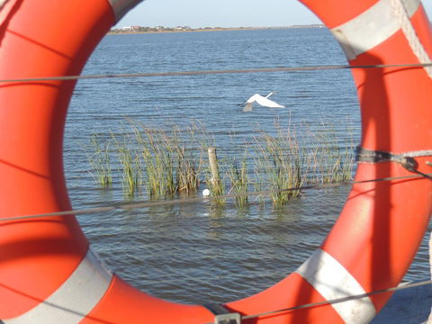 PS Federal Retreat Paddle Steamer Goolwa - Accommodation ACT 18
