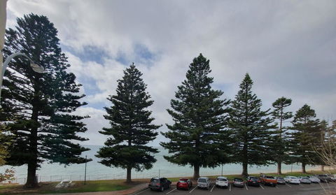 Pier Hotel Port Lincoln - Accommodation ACT 12