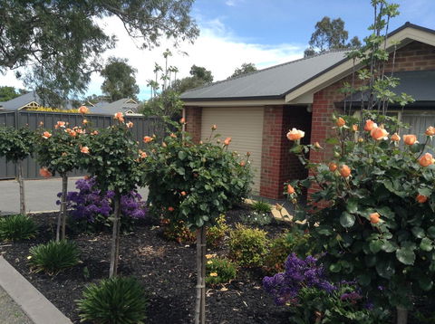 C And C Tanunda - Accommodation ACT 1