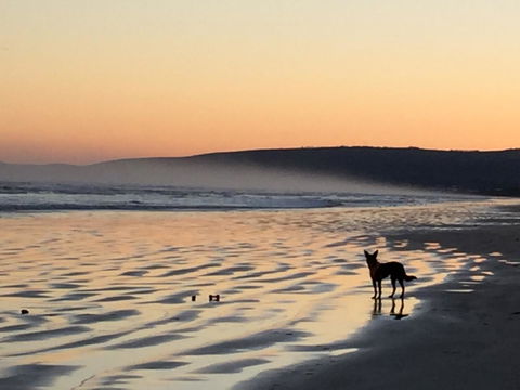 Goolwa Marinerâ€™s Cottage - Free Wifi And Pet Friendly - Centrally Located In Historic Region - Accommodation ACT 35