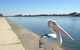 Lakeside - thumb 12
