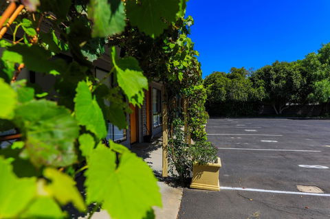 Country Roads Motor Inn Naracoorte - Accommodation ACT 16