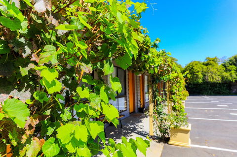 Country Roads Motor Inn Naracoorte - Accommodation ACT 18
