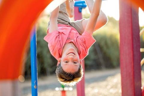 BIG4 Renmark Riverfront Holiday Park - Accommodation ACT 28