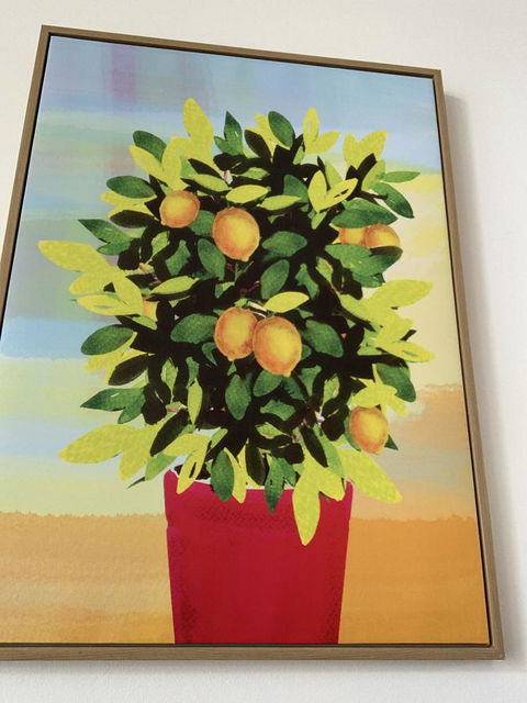 Sunshine Three - Accommodation ACT 2