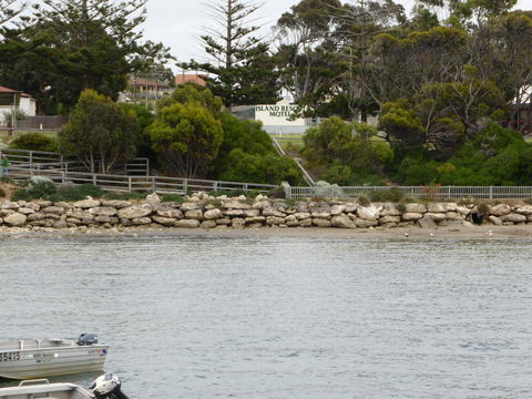 Island Motel Kingscote - Accommodation ACT 4