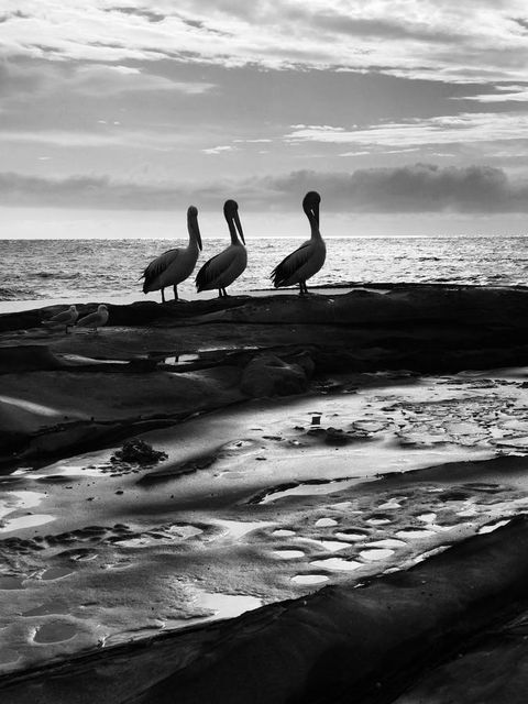 Stylish 3 Bedroom Beachview Apartment - Accommodation ACT 22