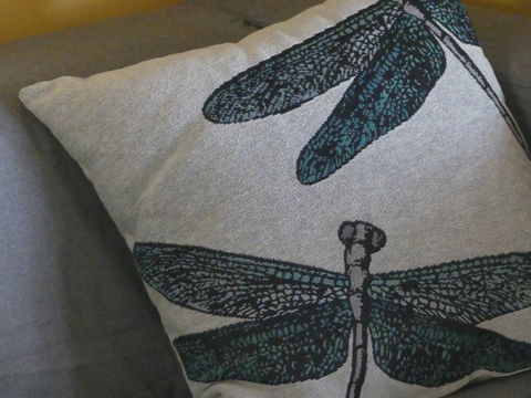 KI Dragonfly Guesthouse - Accommodation ACT 43