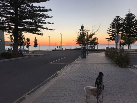 BIG4 Ceduna Tourist Park - Accommodation ACT 34