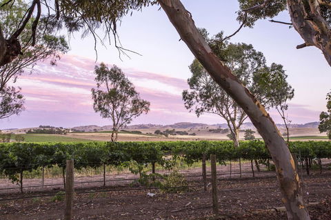 Jasmine\'s Barossa Valley Cottage - Accommodation ACT 19