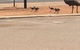 Escape 2 Exmouth - thumb 29