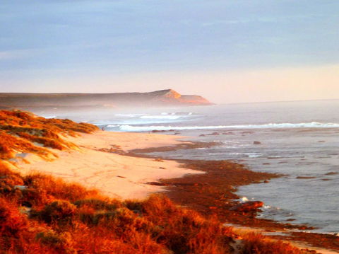 Kanga Cottage - Accommodation ACT 26