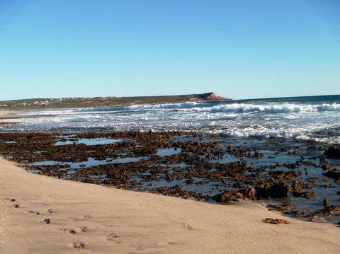 Kanga Cottage - Accommodation ACT 31