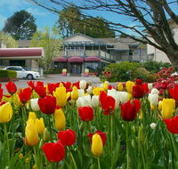 Nesuto Leura Gardens formerly Waldorf Leura Gardens Resort - Accommodation ACT