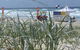 SaltBeach2302 - thumb 14