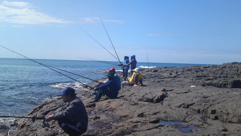 Sweet Spot Shellharbour - Accommodation ACT 13