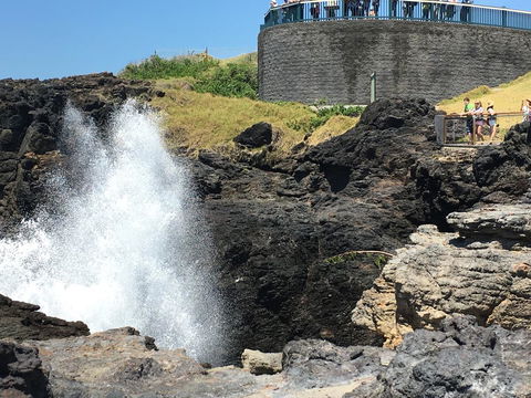 Sweet Spot Shellharbour - Accommodation ACT 18