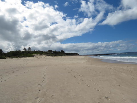 Sweet Spot Shellharbour - Accommodation ACT 15