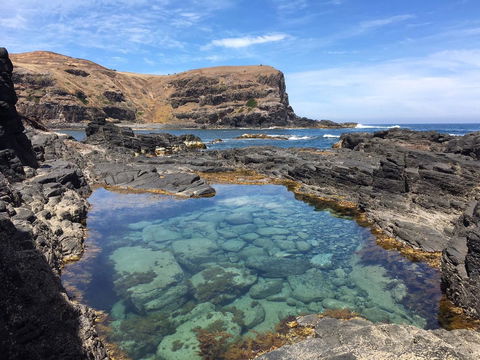 Sweet Spot Shellharbour - Accommodation ACT 17