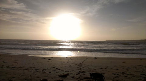 Sweet Spot Shellharbour - Accommodation ACT 16