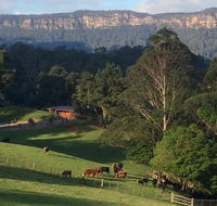 Amaroo Valley Springs - Accommodation ACT