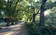 The Botanical 201 - thumb 17