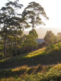 Book Bawley Point Accommodation Vacations Accommodation ACT Accommodation ACT