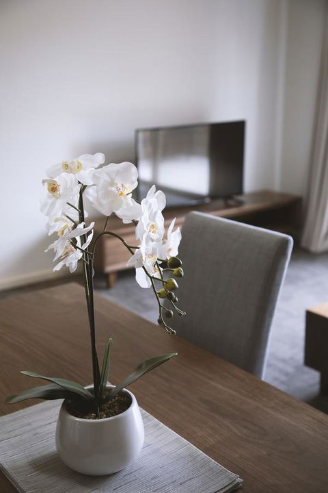 Quest Wagga Wagga - Accommodation ACT 11