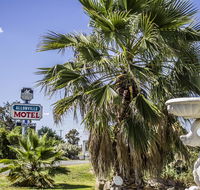 Allonville Gardens Motel - Accommodation ACT