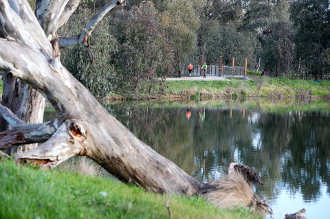 Mercure Albury - Accommodation ACT 15