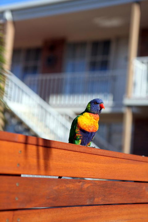 Summerhill Motor Inn - Accommodation ACT 30