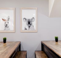 Mad Monkey Backpackers on Broadway - Accommodation ACT
