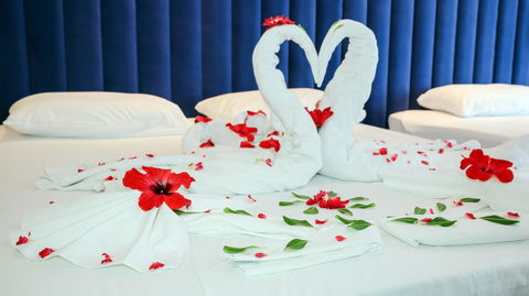 Luxury Home Hotel Next To Darling Harbour - Accommodation ACT 16