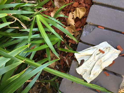 Quest St Leonards - Accommodation ACT 22