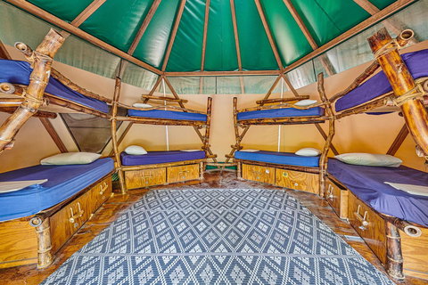 Arts Factory By Nomads - Accommodation ACT 4