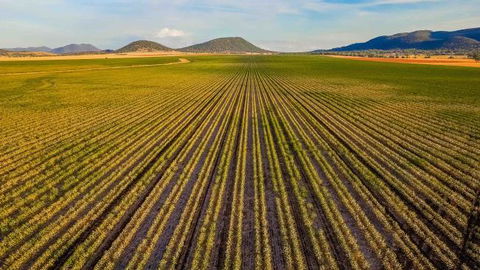 The Old Saddlery - Accommodation ACT 14