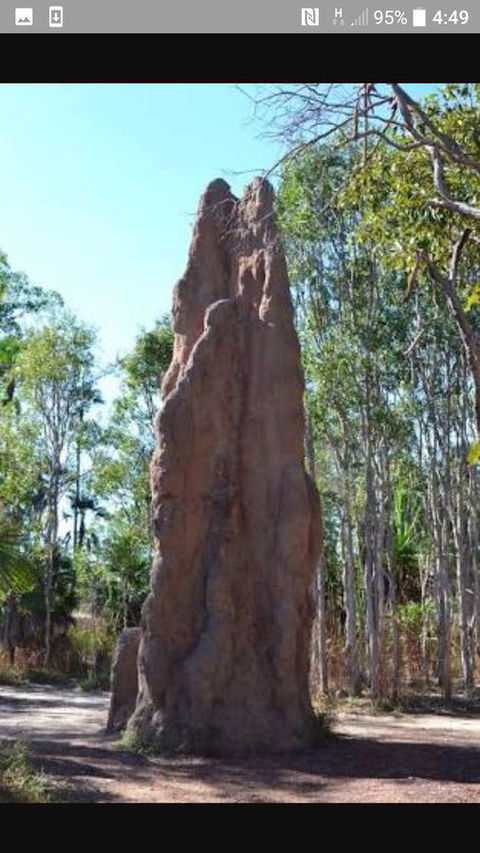 'Tropical Oasis - Darwin NT - Accommodation ACT 31