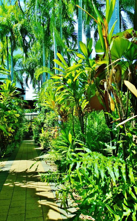 Palms City Resort - Accommodation ACT 14