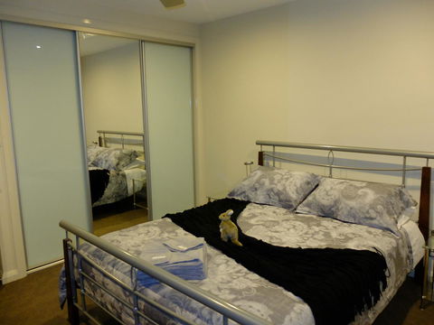 Rock Wallaby - Accommodation ACT 14