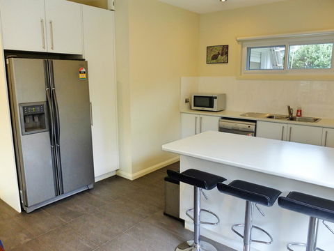 Rock Wallaby - Accommodation ACT 1