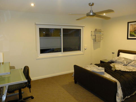 Rock Wallaby - Accommodation ACT 6