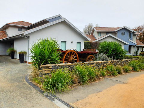 Rock Wallaby - Accommodation ACT 5