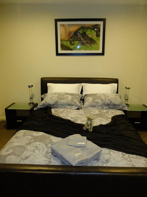 Rock Wallaby - Accommodation ACT 18