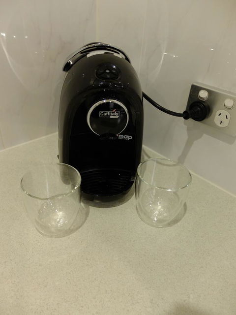 Rock Wallaby - Accommodation ACT 11