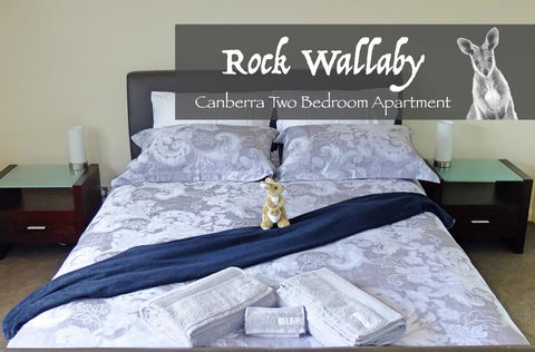 Rock Wallaby - Accommodation ACT 4