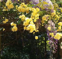 Bowral Road Bed and Breakfast - Accommodation ACT
