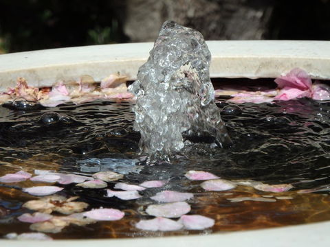 Bowral Road Bed And Breakfast - Accommodation ACT 2